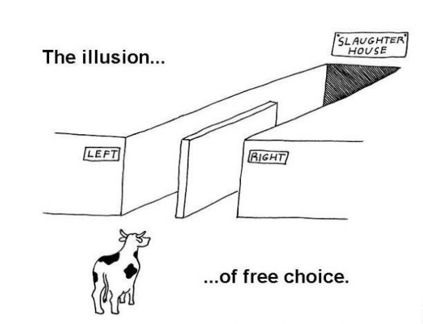 The-illusion-of-free-choice-602x461.jpg